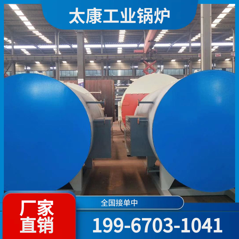 渭南生物质导热油锅炉